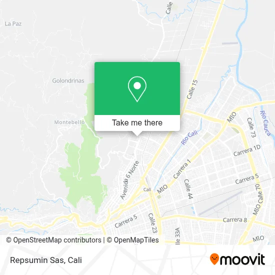 Repsumin Sas map