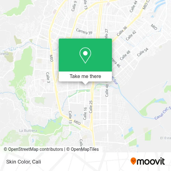 Skin Color map