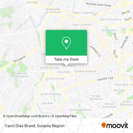 Carol Dias Brand map