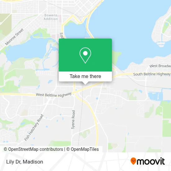 Lily Dr map