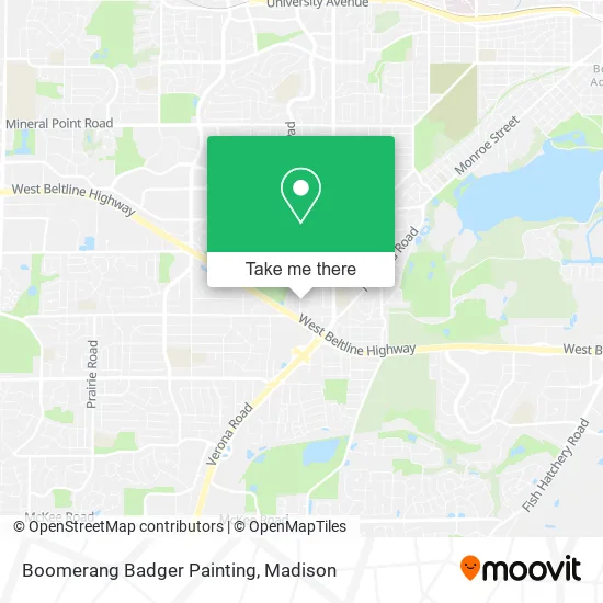 Boomerang Badger Painting map