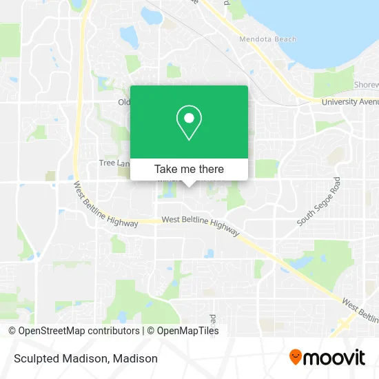 Sculpted Madison map