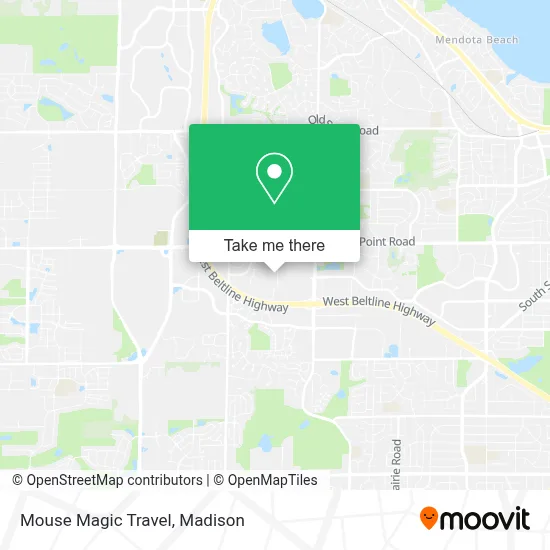 Mouse Magic Travel map
