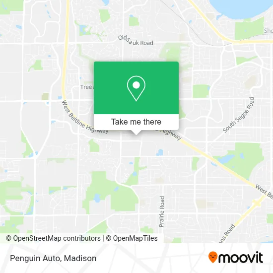Penguin Auto map