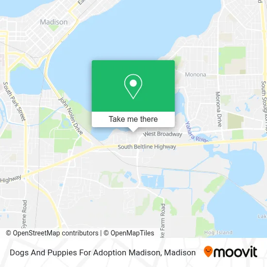 Dogs And Puppies For Adoption Madison map