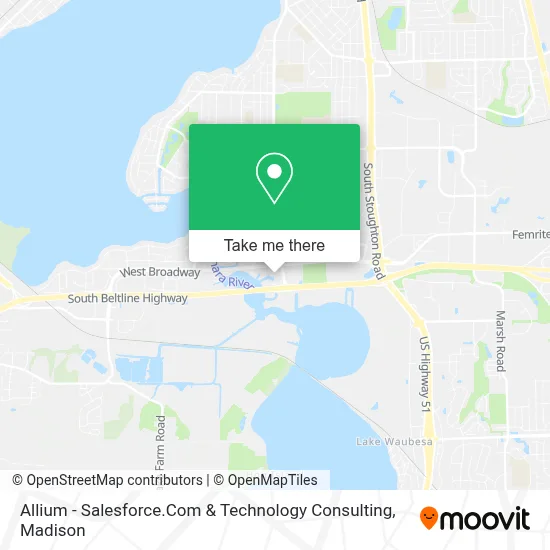 Allium - Salesforce.Com & Technology Consulting map