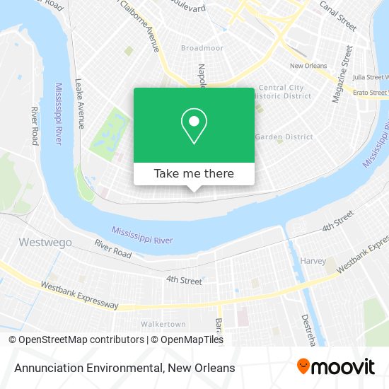 Annunciation Environmental map