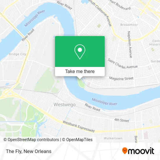 The Fly map