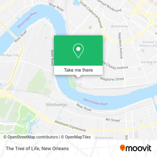 The Tree of Life map