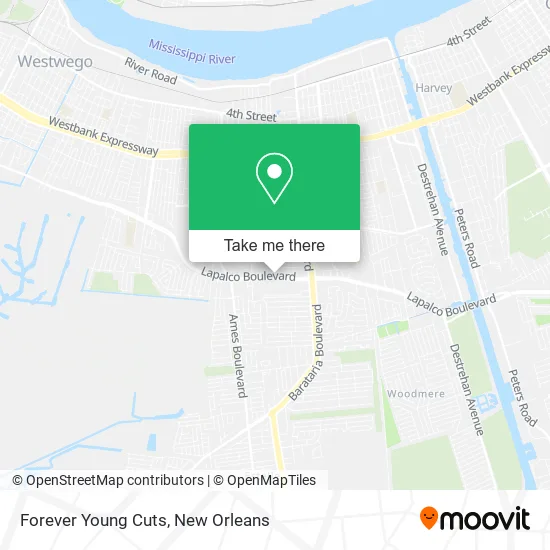 Forever Young Cuts map