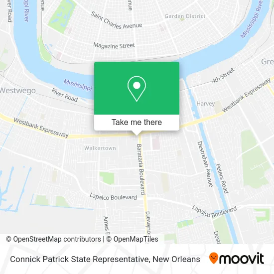 Connick Patrick State Representative map