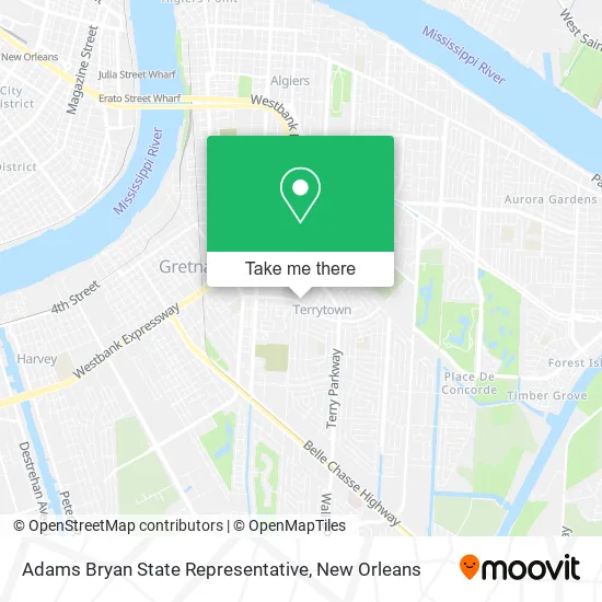 Adams Bryan State Representative map