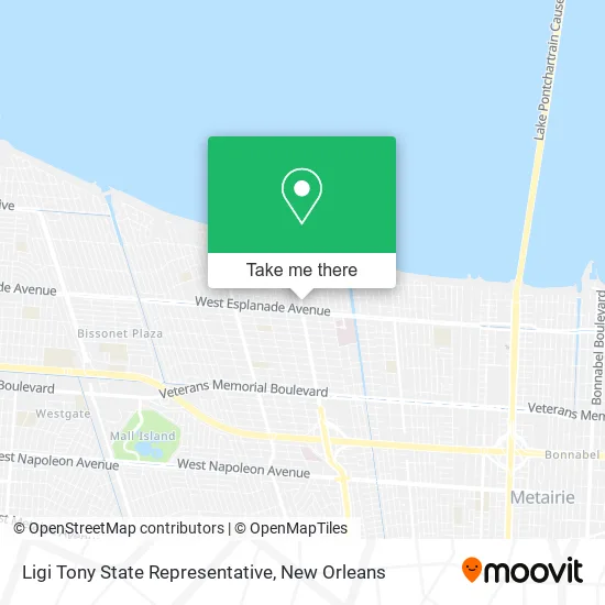 Ligi Tony State Representative map