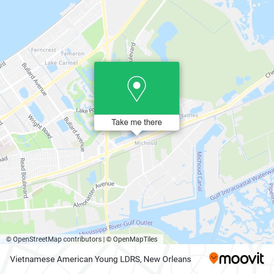 Vietnamese American Young LDRS map