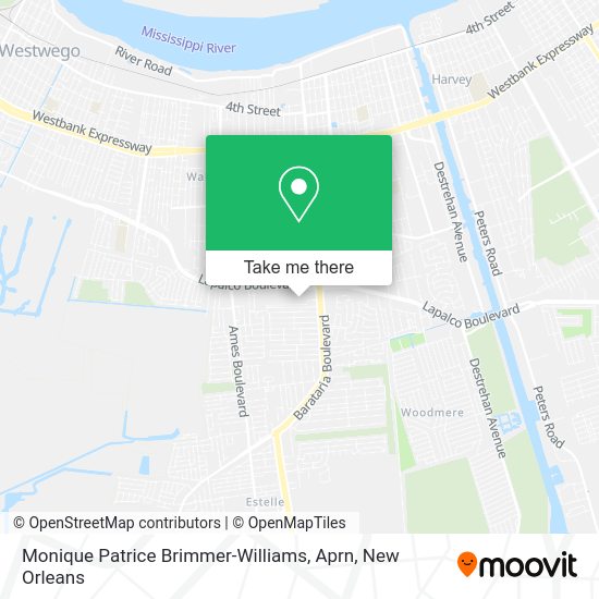 Monique Patrice Brimmer-Williams, Aprn map