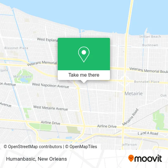 Humanbasic map