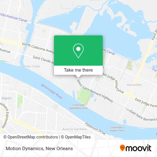 Motion Dynamics map