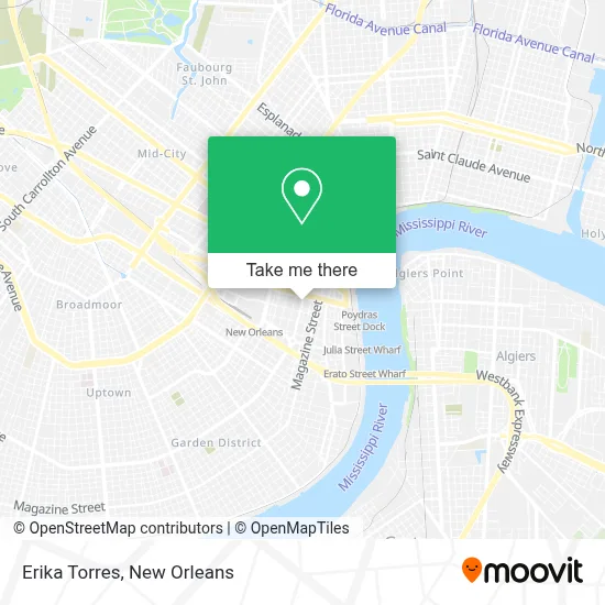 Erika Torres map