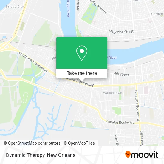 Dynamic Therapy map