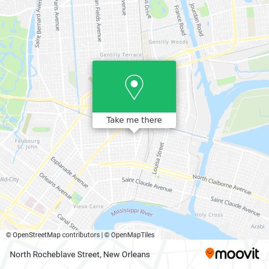 North Rocheblave Street map