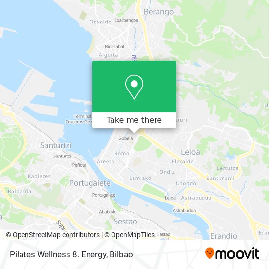 Pilates Wellness 8. Energy map