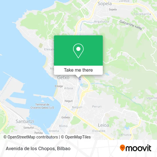 Avenida de los Chopos map