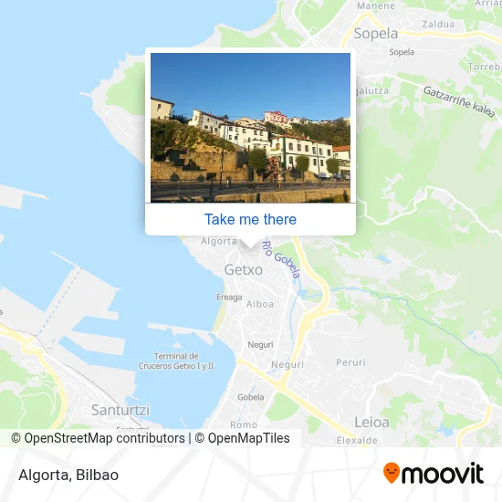 Algorta map