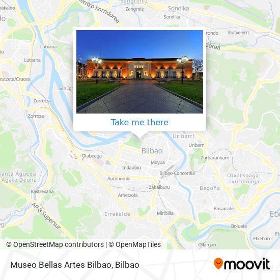 Museo Bellas Artes Bilbao map