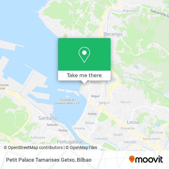 Petit Palace Tamarises Getxo map