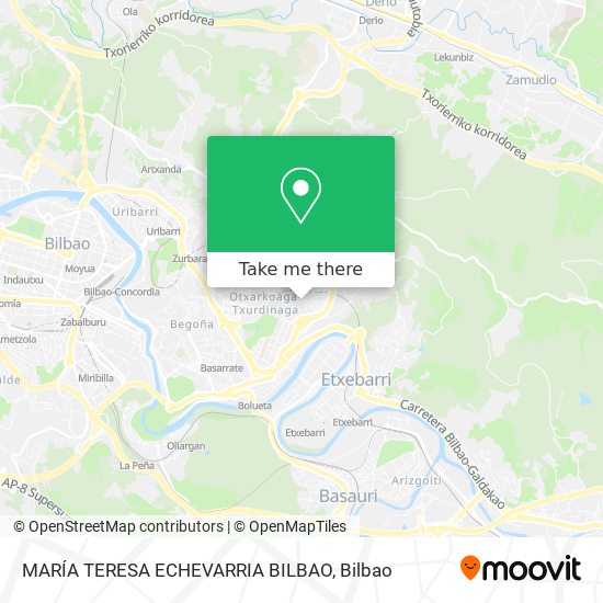 MARÍA TERESA ECHEVARRIA BILBAO map