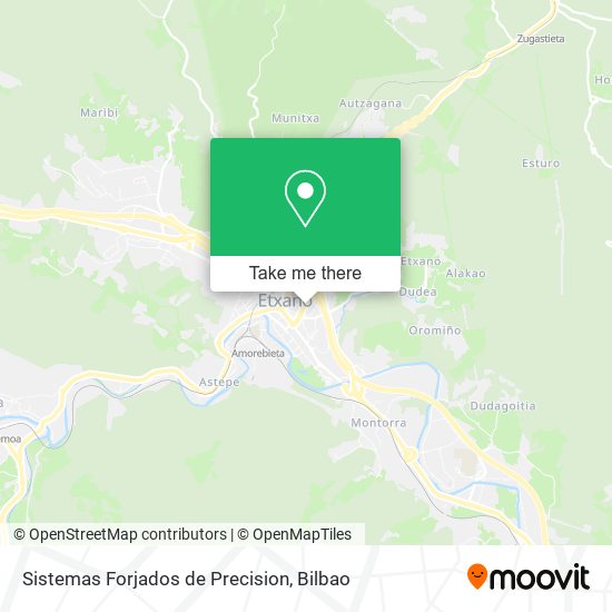 Sistemas Forjados de Precision map