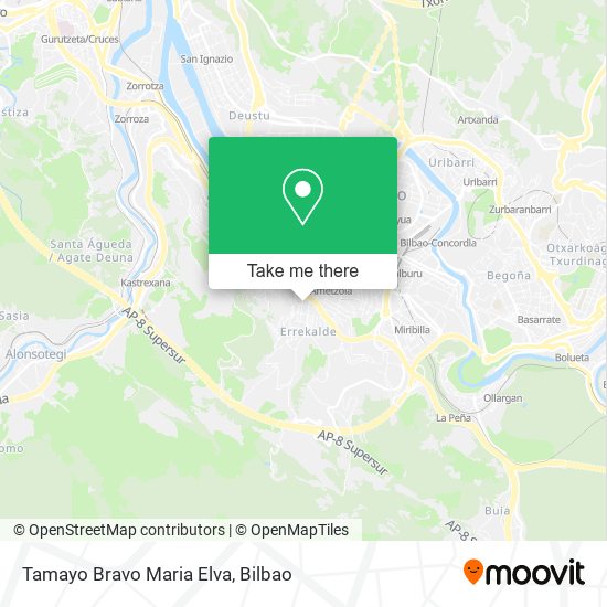 Tamayo Bravo Maria Elva map