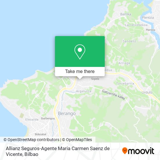 mapa Allianz Seguros-Agente Maria Carmen Saenz de Vicente