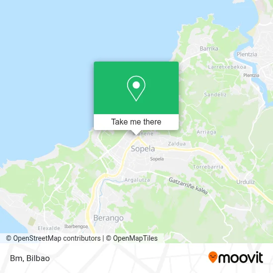 Bm map