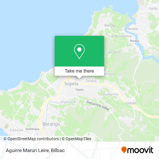 Aguirre Maruri Leire map