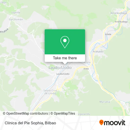 Clínica del Pie Sophia map