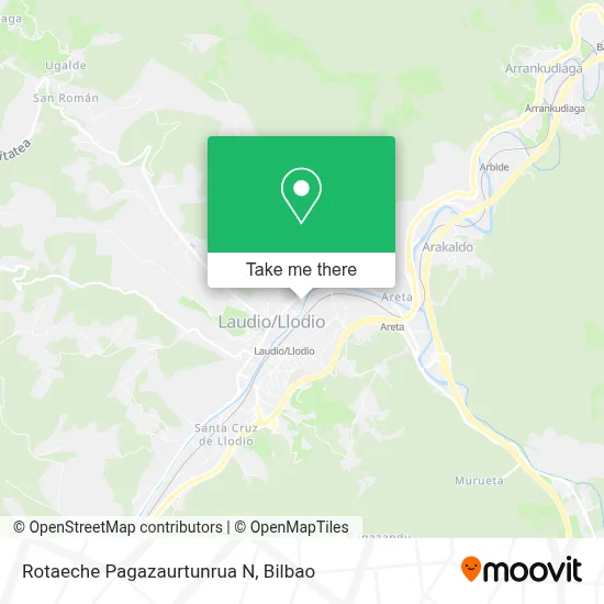 Rotaeche Pagazaurtunrua N map