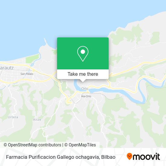 Farmacia Purificacion Gallego ochagavía map