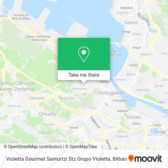 Violetta Gourmet Santurtzi Stz Grupo Violetta map