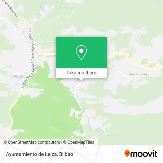 Ayuntamiento de Leiza map