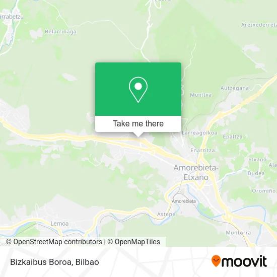 Bizkaibus Boroa map