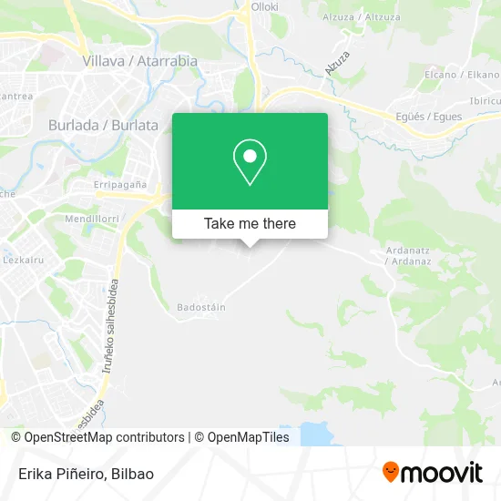 Erika Piñeiro map