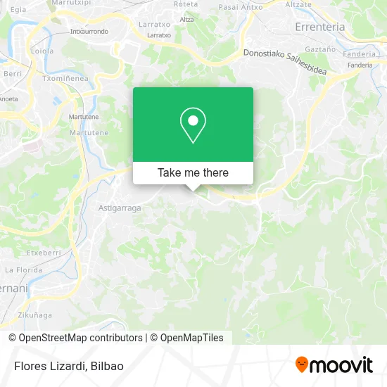 Flores Lizardi map