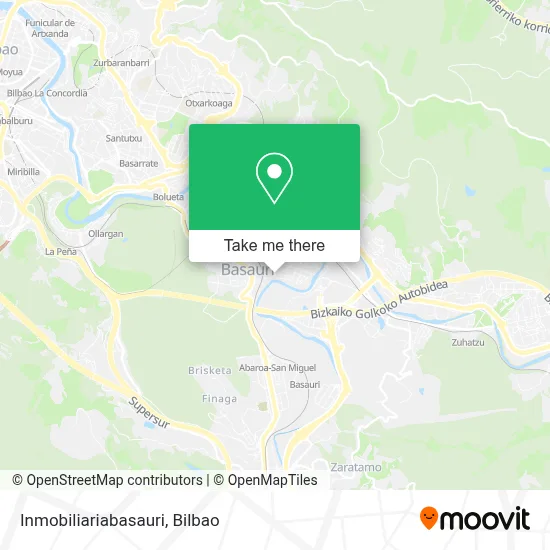 Inmobiliariabasauri map