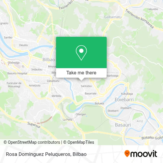 Rosa Dominguez Peluqueros map