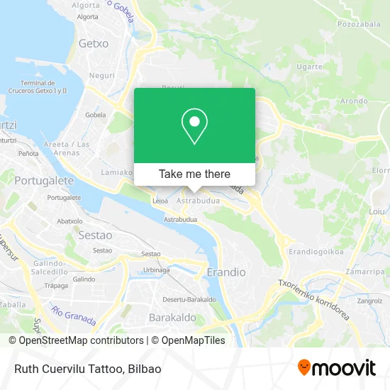 Ruth Cuervilu Tattoo map