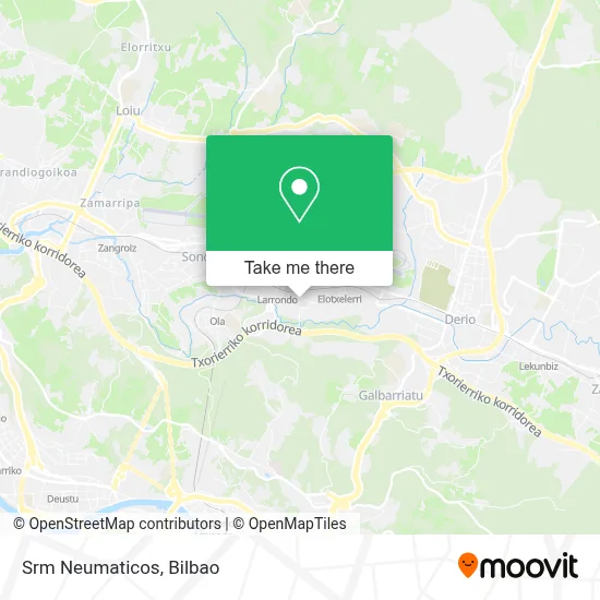 Srm Neumaticos map