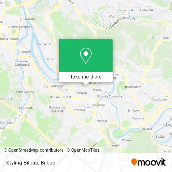 Styling Bilbao map