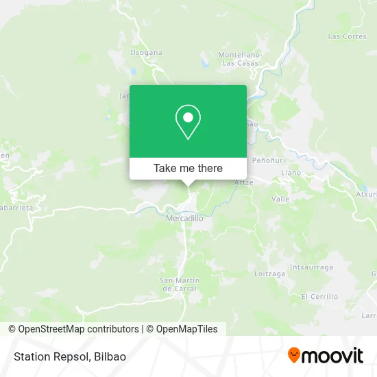 Station Repsol map