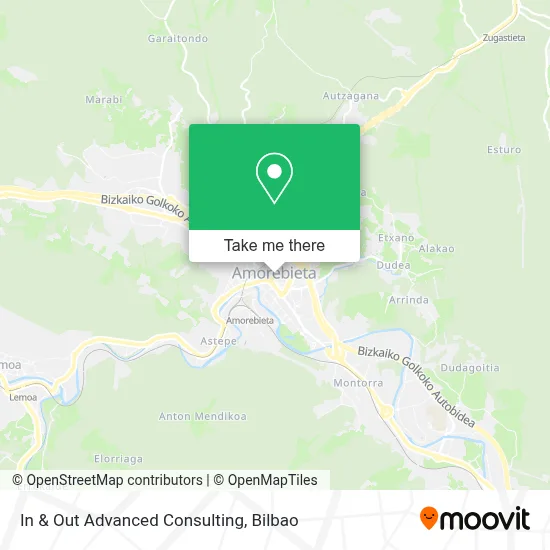 In & Out Advanced Consulting map